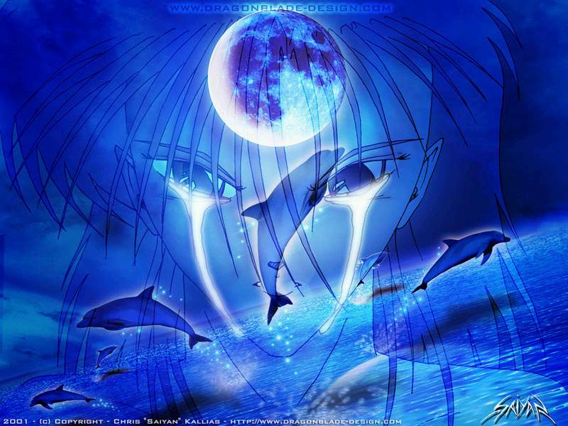 rub dauphins orques baleines 10