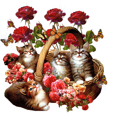 Animal Animations Photo Cats Cat Art Cat Gif Cats And Kittens